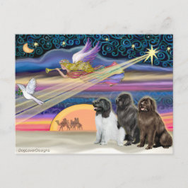 Kerstster - Newfoundland (drie) Feestdagenkaart