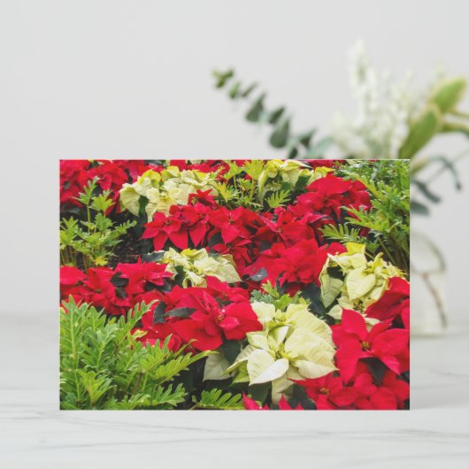 Kerstster Poinsettia Feestdagenkaart (Staand voorkant)