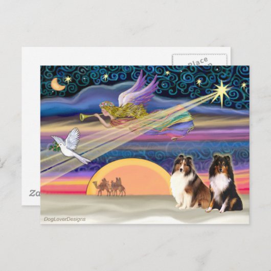 Kerstster - Shetland Sheepdog (2) Feestdagenkaart (Voorkant / Achterkant)