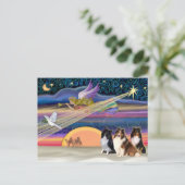 Kerstster - Shetland Sheepdogs (drie) Feestdagenkaart (Staand voorkant)