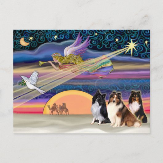 Kerstster - Shetland Sheepdogs (drie) Feestdagenkaart (Voorkant)