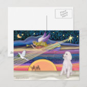 Kerstster - Stamblok (witte standaard) - Feestdagenkaart (Voorkant / Achterkant)