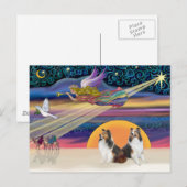Kerstster - Twee Shelties Feestdagenkaart (Voorkant / Achterkant)