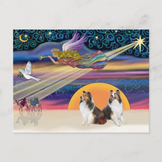 Kerstster - Twee Shelties Feestdagenkaart (Voorkant)