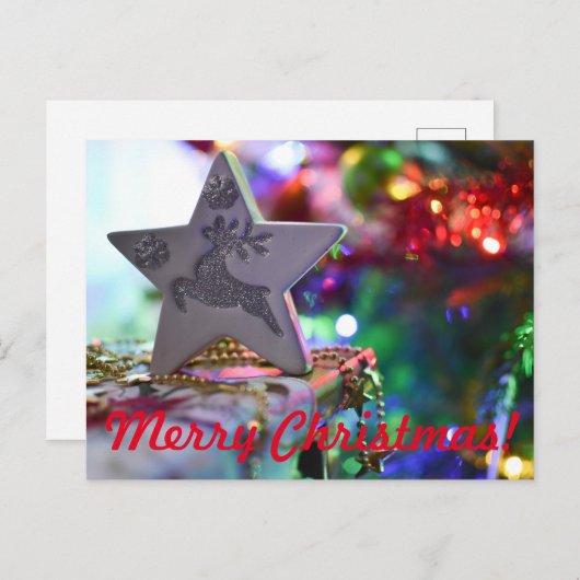 Kerststerren briefkaart (Voorkant / Achterkant)