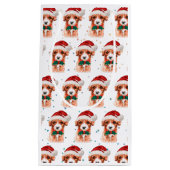 Kerststerren voor Hondenrassen van Cavoodle Klein Cadeauzakje (Voorkant)