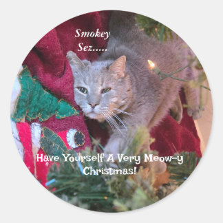 Kerststickers voor katten ronde sticker