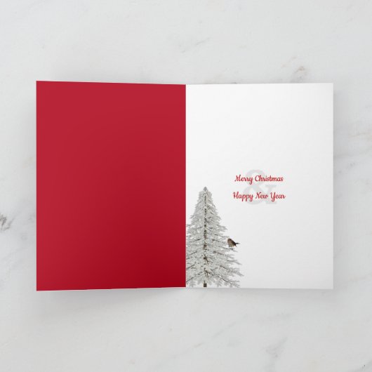 Kerststoel met poinsettia in het raam kaart (Binnen)