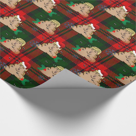 kerststort cadeaupapier (Hoek)