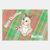 kersttaarkleurig Baby Bunny Green Red Play Fabric Inpakpapier Vel (Voorkant)