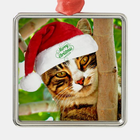 Kersttablet Kat in een boom Metalen Ornament (Voorkant)