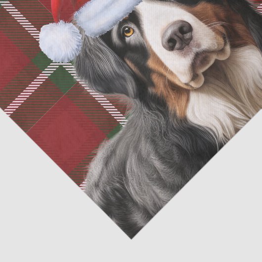 kersttartan Pset en Bernese Mountain Dog Tissuepapier (Detail)