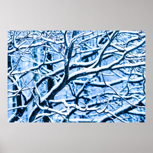 Kersttijdbos Poster (Voorkant)