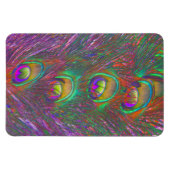 kersttinsel Peacock Feathers Magneet (Horizontaal)