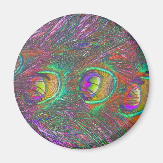 kersttinsel Peacock Feathers Magnet (Voorkant)