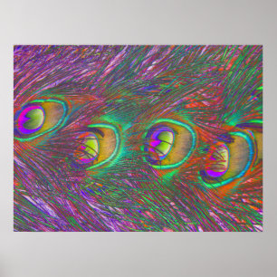 kersttinsel Peacock Feathers Poster