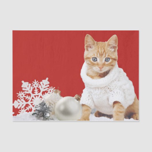 Kersttrui Kat Tissue Papier (Voorkant)