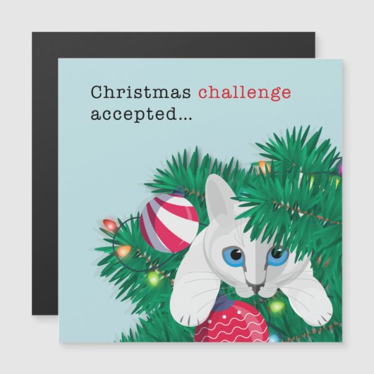 Kerstuitdaging geaccepteerd!! (Voorkant / Achterkant)