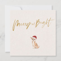 Kerstvakantie Chihuahua hond vrolijke groet