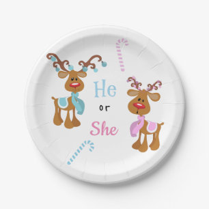Kerstvakantie Gender Reveal Reindeer Papieren Bordje