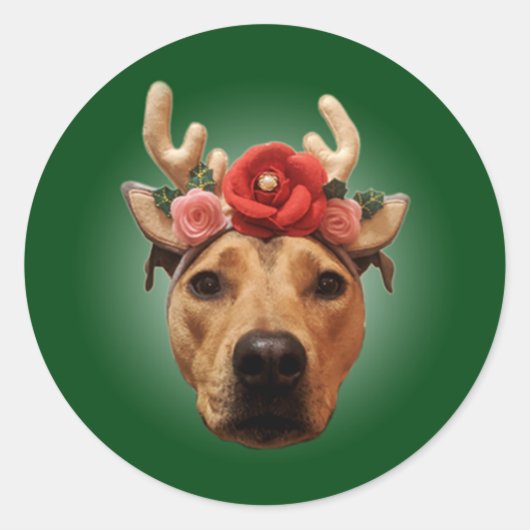Kerstvakantie hond sticker (Voorkant)