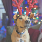 Kerstvakantie hond sticker (Voorkant)