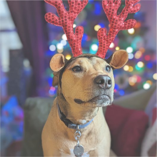 Kerstvakantie hond sticker (Voorkant)