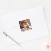 Kerstvakantie Leeuw en Lam Vierkante Sticker (Envelop)