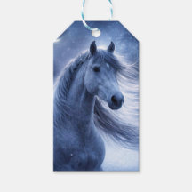 Kerstvakantie Mooie Paard in de Nacht