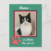 Kerstvakantie Nieuw adres Cat Briefkaart (Voorkant)