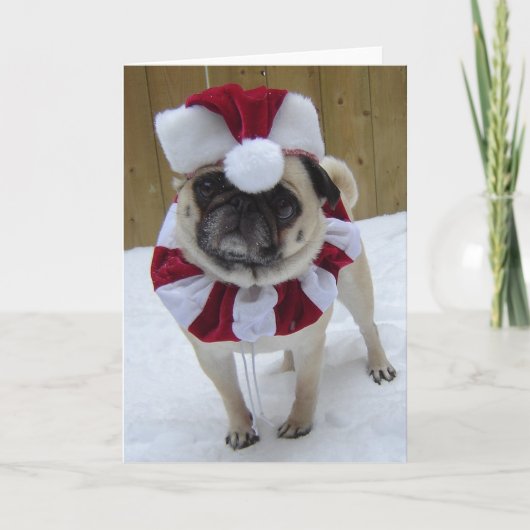 Kerstvakantie Pug in Sneeuw Feestdagen Kaart (Voorkant)