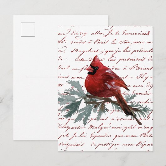 Kerstvakantie Rode Kardinaal Vogel Frans script Briefkaart (Voorkant / Achterkant)
