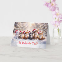 Kerstvakantie Schattige Bosdieren