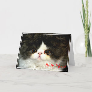 Kerstvakantie zwart witte pluizige Kitten Kaart
