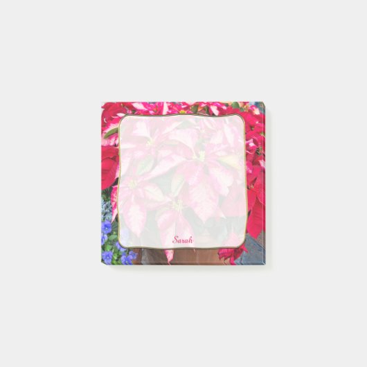 Kerstvariëteiten Roze & Red Poinsettia Foto Post-it® Notes (Voorkant)