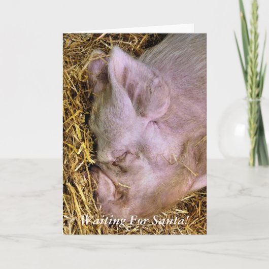KERSTVARKENS FEESTDAGEN KAART (Voorkant)