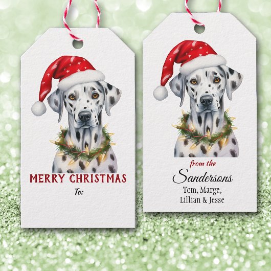 Kerstverlichting Kerstmannenhoed Dalmatiër Hond Ke Cadeaulabel