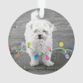 Kerstverlichting PET PHOTO Ornament Artisan Fun (achterkant)