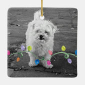 Kerstverlichting PET PHOTO Ornament Artisan Fun (Achterkant)