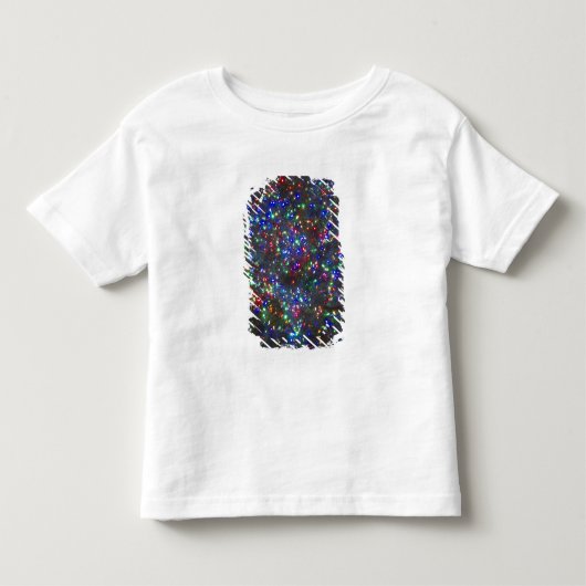 Kerstverlichting, Portland, Oregon Kinder Shirts (Voorkant)