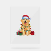 Kerstverlichting Santa Hat Golden Retriever Dog Ch Acryl Bord (Voorkant)