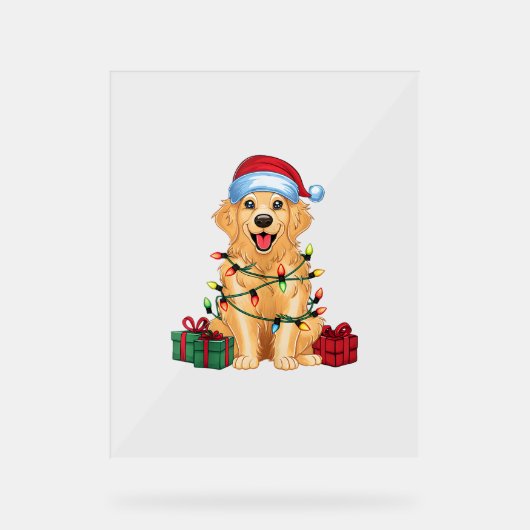 Kerstverlichting Santa Hat Golden Retriever Dog Ch Acryl Bord (Voorkant)
