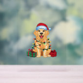 Kerstverlichting Santa Hat Golden Retriever Dog Ch Acryl Bord (Neutraal)