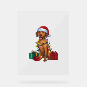 Kerstverlichting Santa Rhodesian Ridgeback Dog Chr Acryl Bord