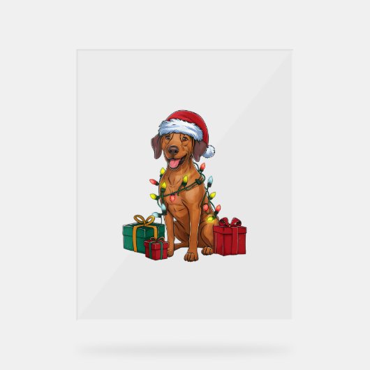 Kerstverlichting Santa Rhodesian Ridgeback Dog Chr Acryl Bord (Voorkant)