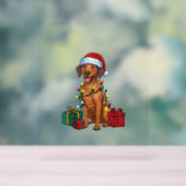 Kerstverlichting Santa Rhodesian Ridgeback Dog Chr Acryl Bord (Neutraal)