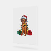 Kerstverlichting Santa Rhodesian Ridgeback Dog Chr Acryl Bord (Hoek)