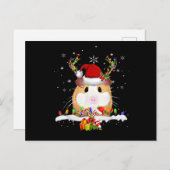 kerstverlichting voor cavia's briefkaart (Voorkant / Achterkant)