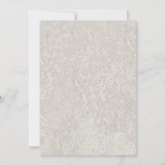 Kerstverlichting Zuidwestelijke Cactus Rode Deuren Kaart (Achterkant)