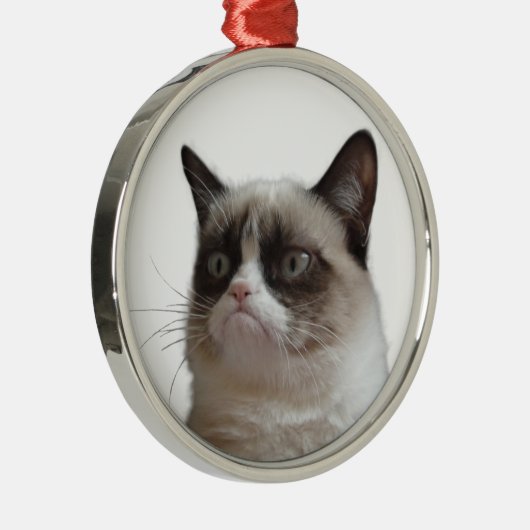 Kerstversieel van de Grumpy Glass-kerst Metalen Ornament (Rechts)